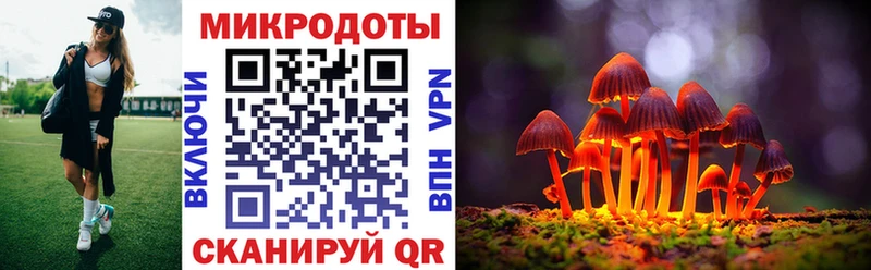Галлюциногенные грибы GOLDEN TEACHER  купить наркоту  Ак-Довурак 